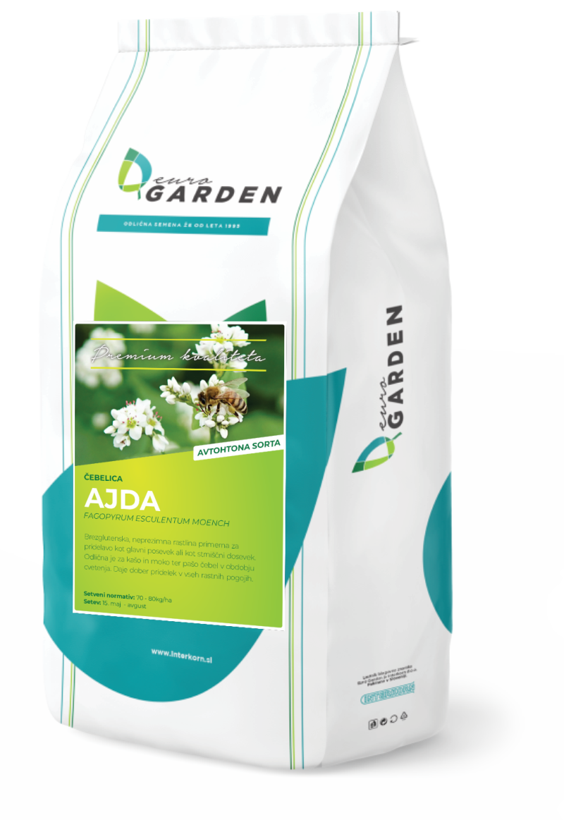Ajda – Fagopyrum esculentum - slika 3